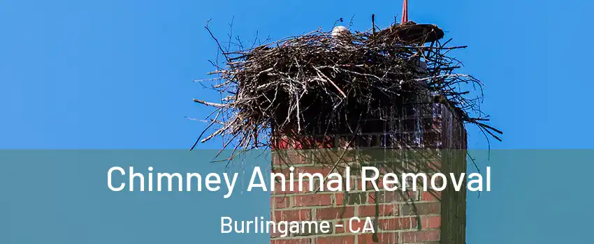 Chimney Animal Removal Burlingame - CA