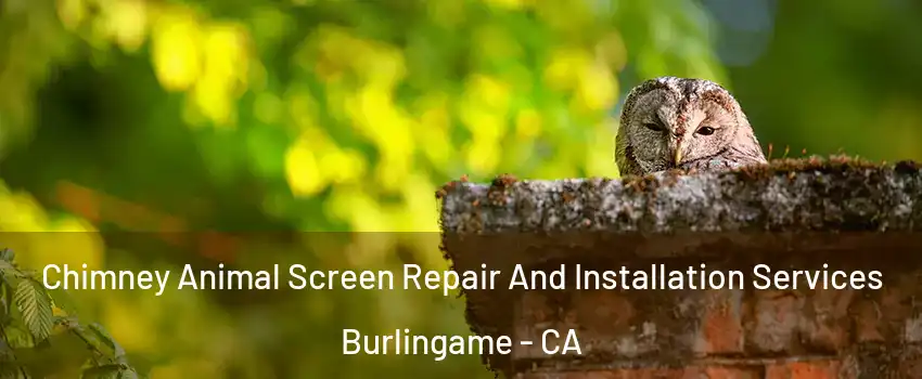  Chimney Animal Screen Repair And Installation Services Burlingame - CA