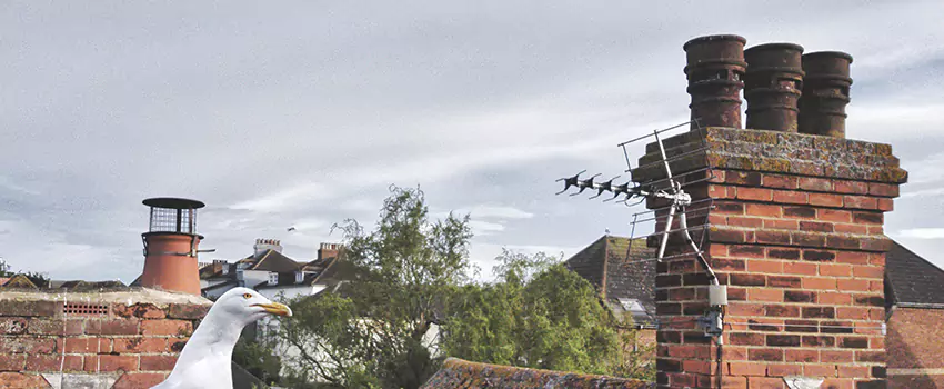 Chimney Cleaning And Restoration in Burlingame, California