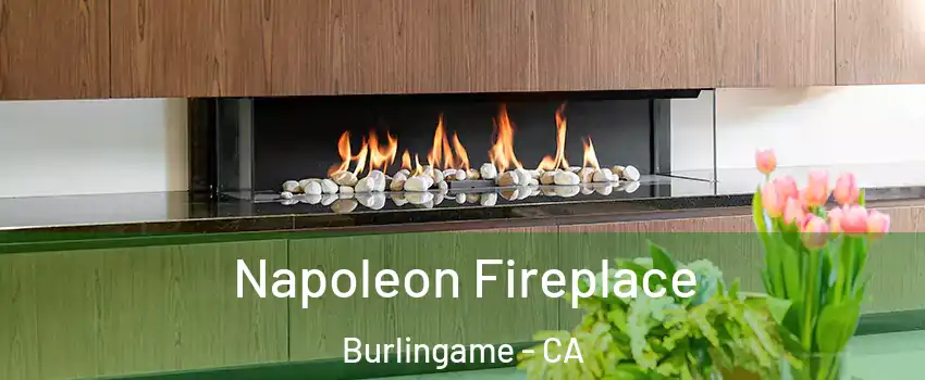  Napoleon Fireplace Burlingame - CA